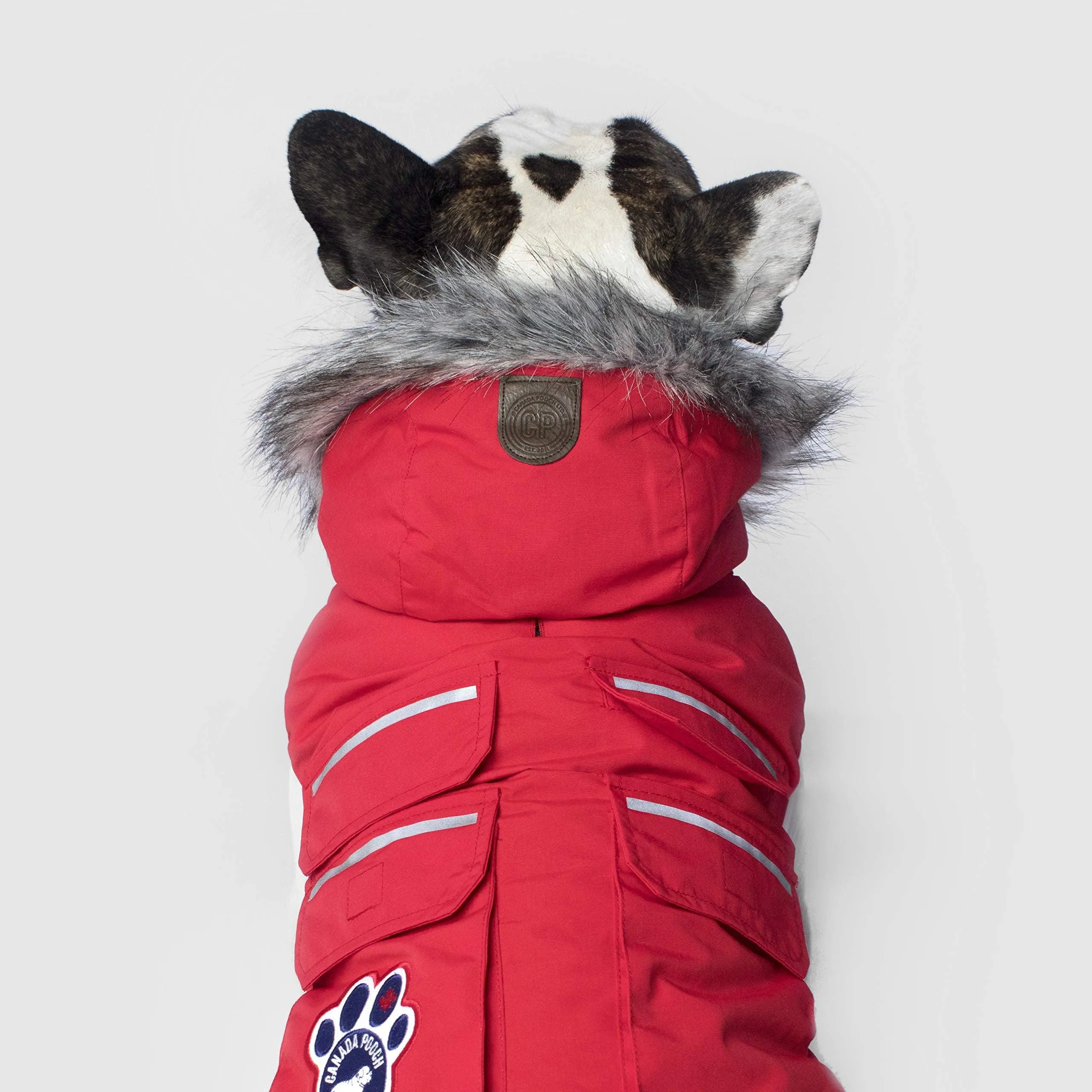 Canada Pooch Everest Explorer Size 24 Red Fleece Lined Insulated Dog Coat