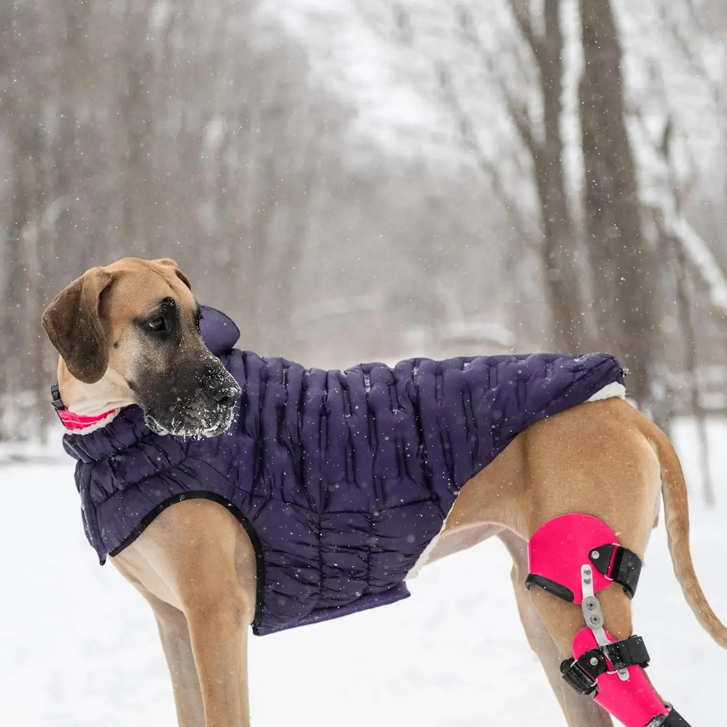 GF Pet Cloud Parka Dog Coat
