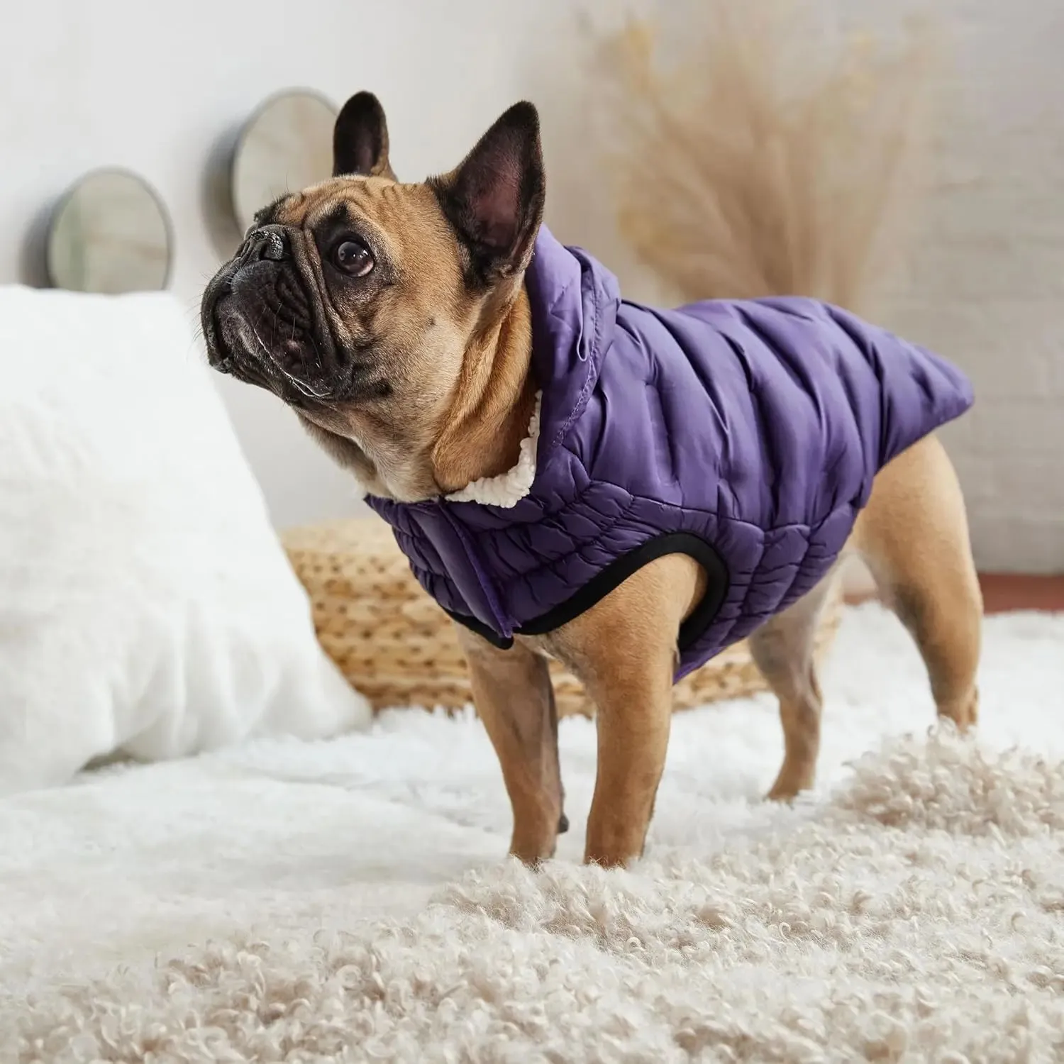 GF Pet Cloud Parka Dog Coat