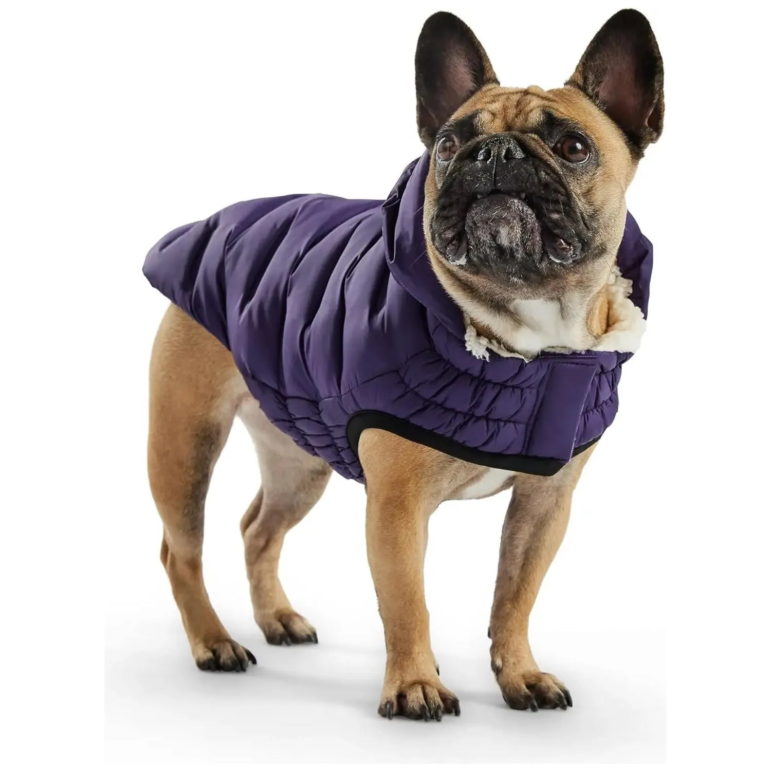 GF Pet Cloud Parka Dog Coat